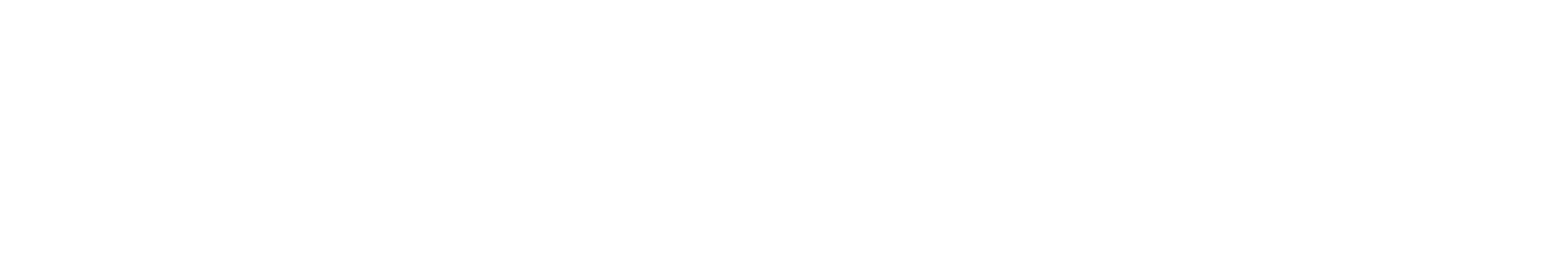 wordcruncher-logo-white